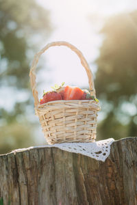 Close-up of strawberries in basket on tree stump