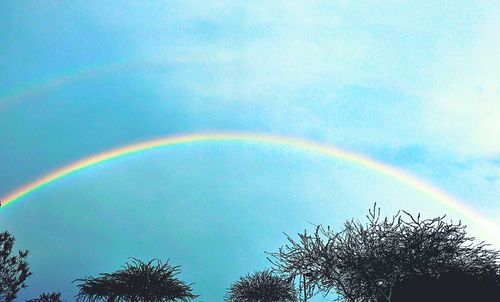 Rainbow over trees against sky