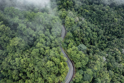 High angle view of road amidst trees in forest