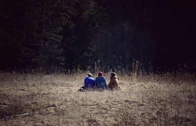 Rear view of people sitting on field