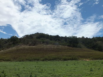 Scenic view of field against sky