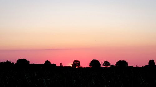 Silhouette trees on field against sky during sunset