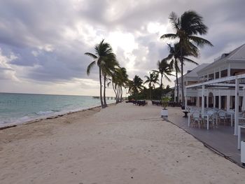 Palm trees on beach by sea against sky