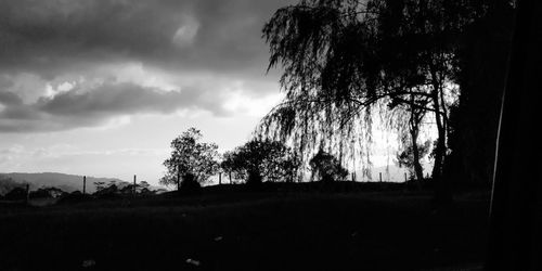 Silhouette trees on field against sky