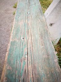 High angle view of tree trunk in forest