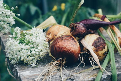 Close-up of raw onions with flowers on old table