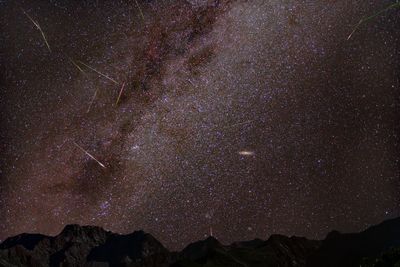 Low angle view of star field against sky at night