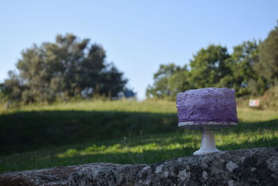 Close-up of cake on stone wall