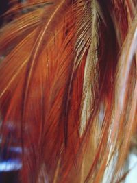 Full frame shot of textured surface