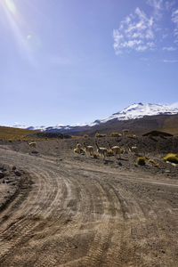 Scenic view of mountains against blue sky