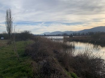 Scenic view of lake against sky