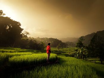 Rear view of person walking on field against sky