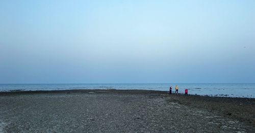 People on beach against clear sky