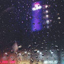 Close-up of water drops on leaf
