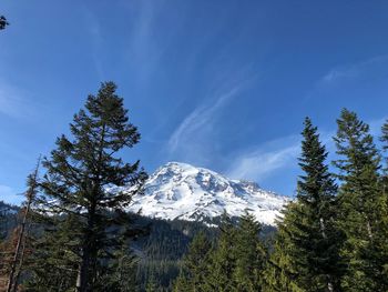 Trees on snow covered mountain against sky
