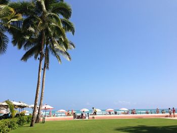 People relaxing on landscape