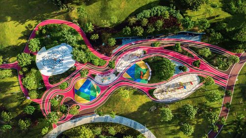 High angle view of multi colored trees on landscape