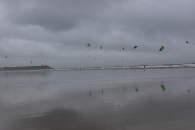 Flock of birds flying over beach