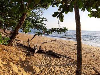 Scenic view of beach against sky