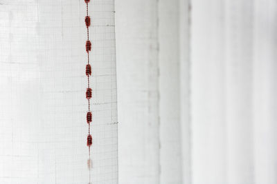 Close-up of red lights hanging on wall by sea