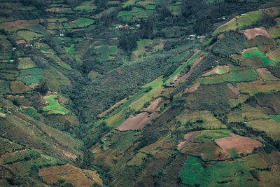 High angle view of fields