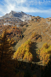 Low angle view of mountain against blue sky