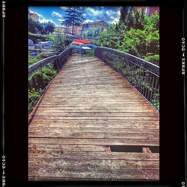 transfer print, auto post production filter, tree, built structure, the way forward, architecture, bridge - man made structure, connection, railing, diminishing perspective, bridge, transportation, footbridge, wood - material, outdoors, day, sunlight, vanishing point, no people, long