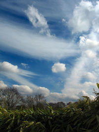 Scenic view of landscape against cloudy sky