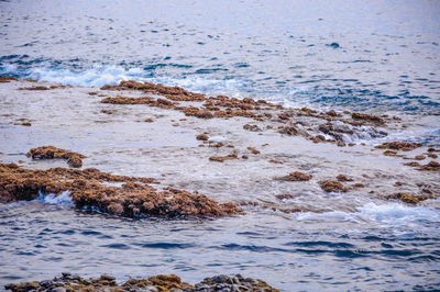 Scenic view of sea shore