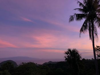 Silhouette palm trees against sky during sunset