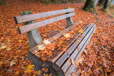 High angle view of bench in park