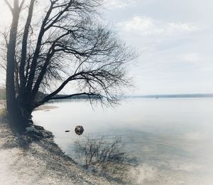winter
