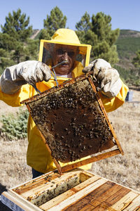 Beekeeper in protective suit holding frame with honeycomb