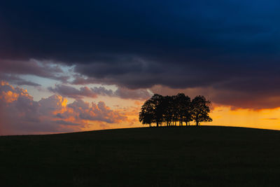 Silhouette trees on field against sky during sunset