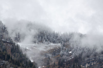 View of trees on mountain against cloudy sky