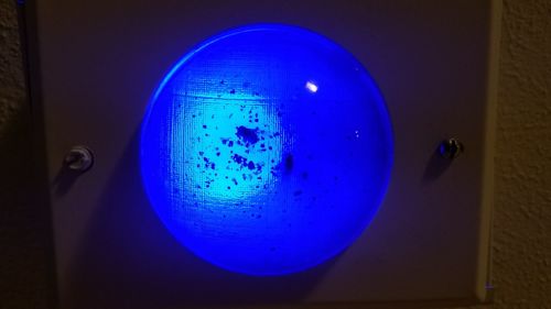 Close-up of illuminated blue light
