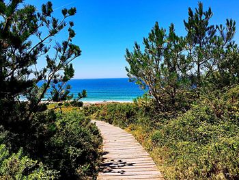 Scenic view of sea against clear sky