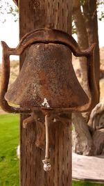 Close-up of wooden post on tree trunk