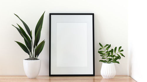 Potted plant on table against wall at home