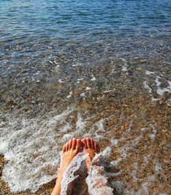 Low section of person on beach