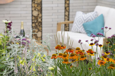 Close-up of yellow flowering plants