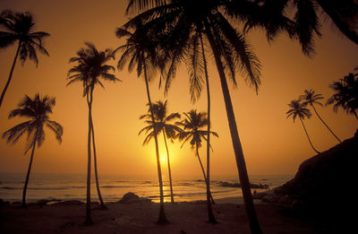 Silhouette palm tree at beach against clear sky at sunset