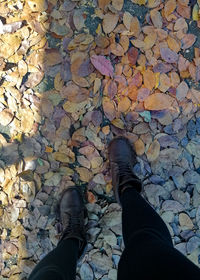 Low section of man standing on autumn leaves