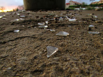 Close-up of sand on beach