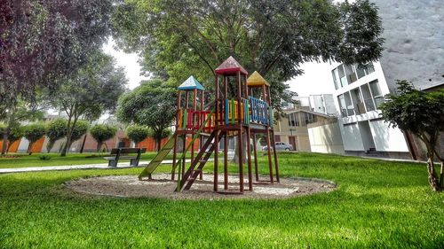 Trees in park