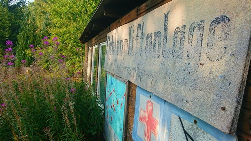 Close-up of graffiti on wall