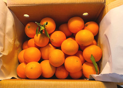 High angle view of oranges in container