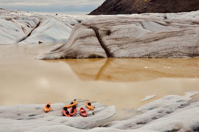 High angle view of horse on rock in lake during winter