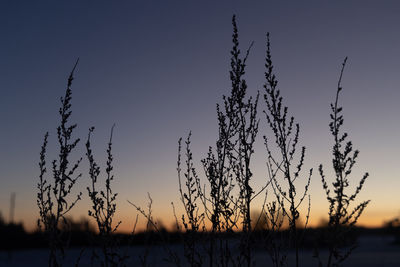 Autumn's frozen whisper. meadows embracing winter's arrival in northern europe