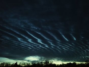 Low angle view of silhouette trees against sky at night